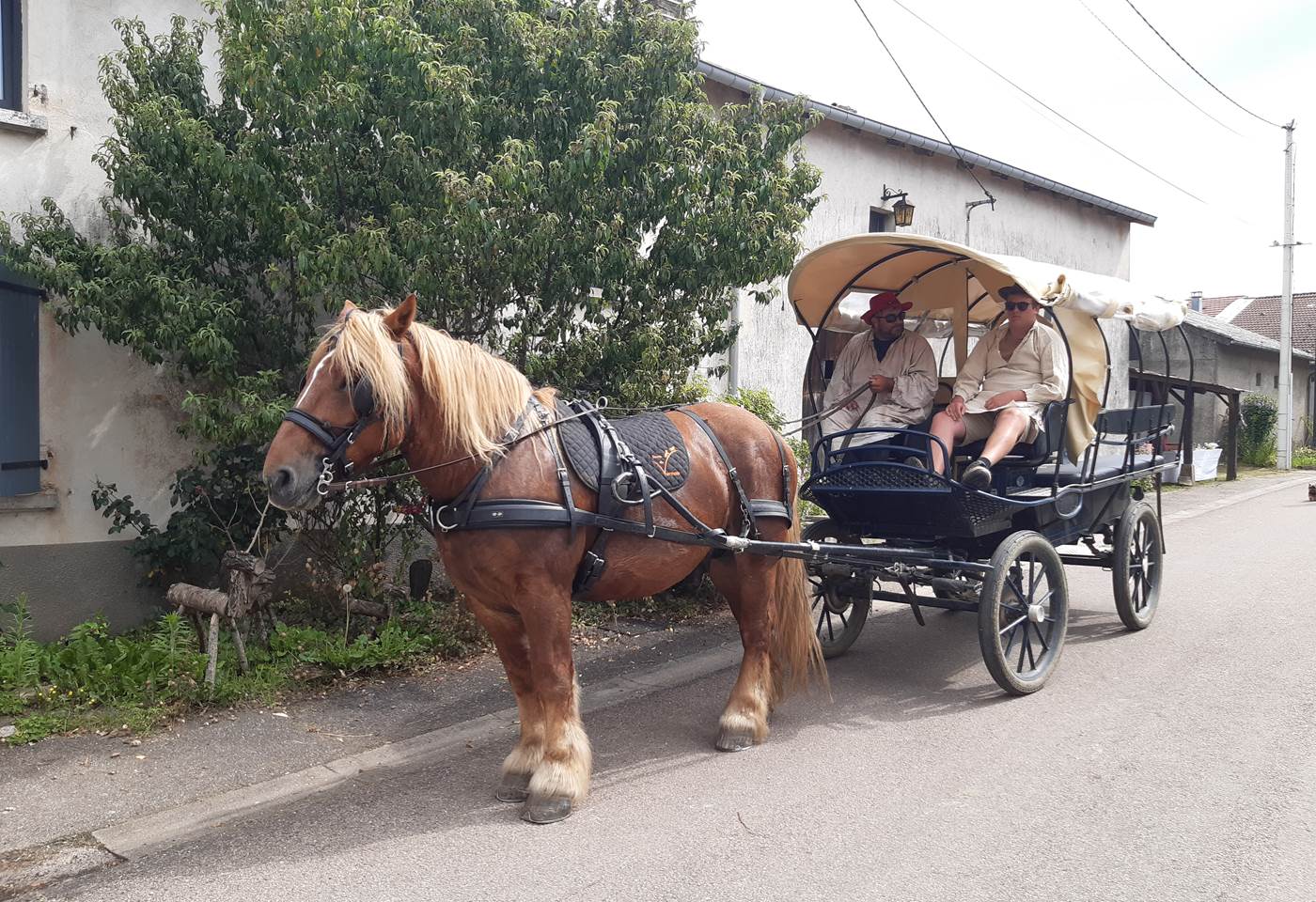 Grande calèche pour les mariages
