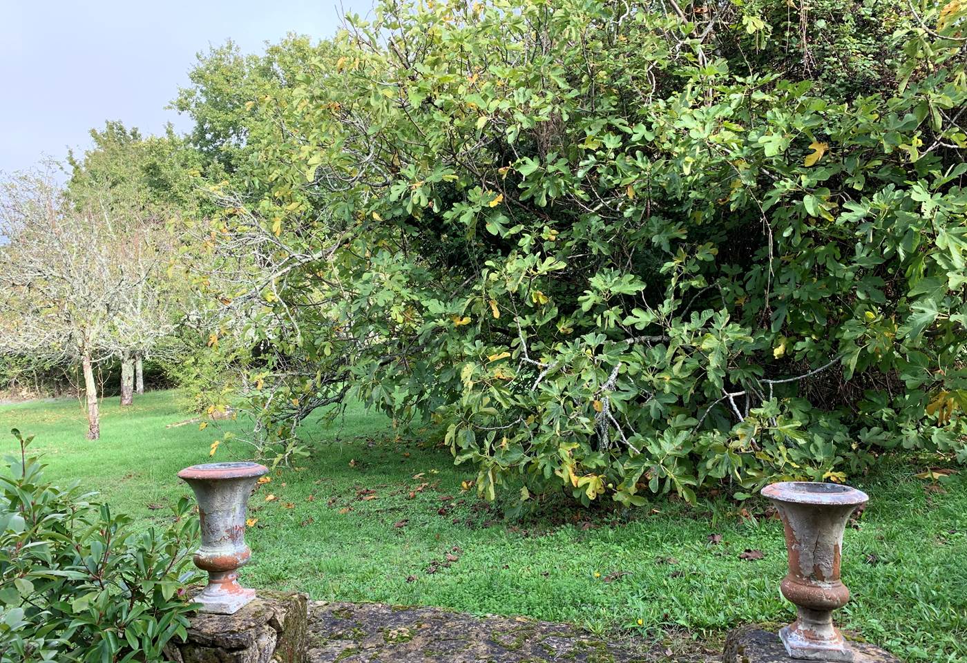 FD86AF88-37A5-4ED0-8030-93583001B239