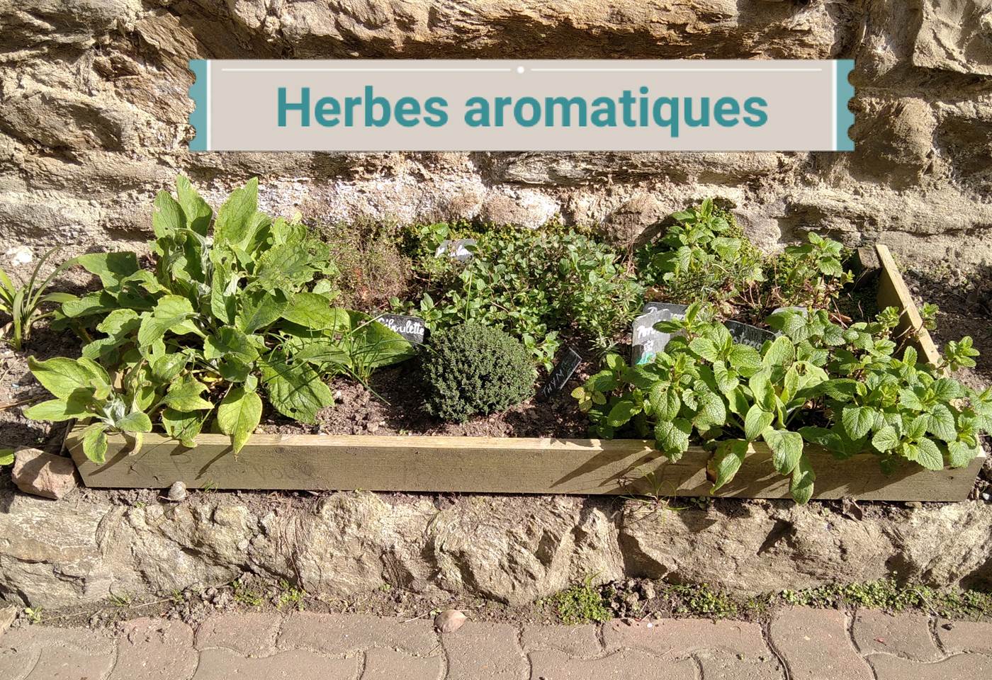 Clos de la Fontaine, Dinard, herbes aromatiques à disposition