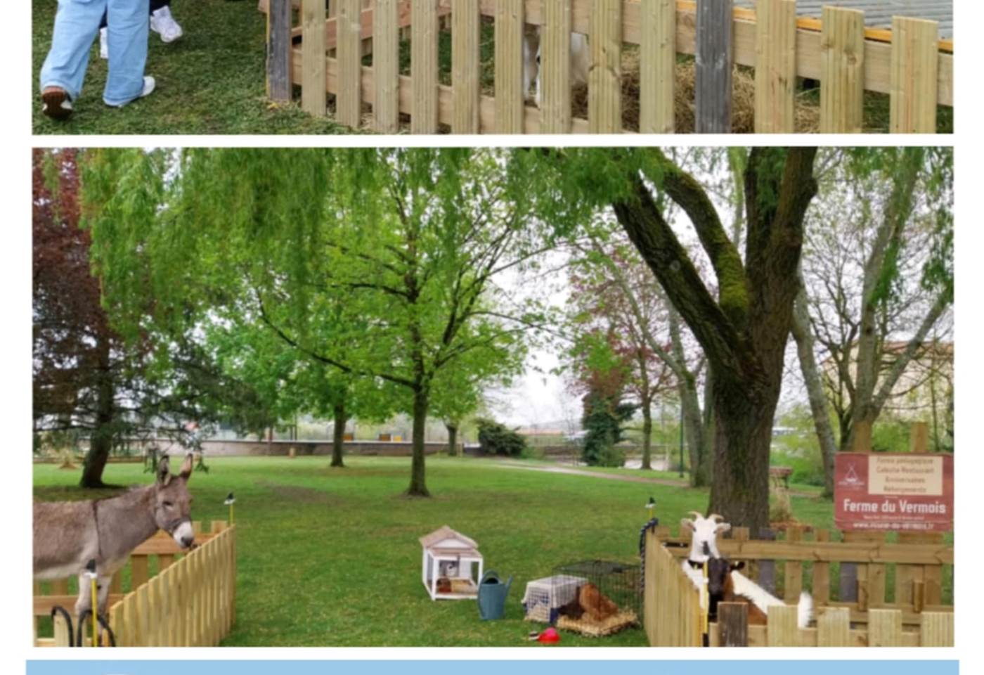 492086990_1214535757341618_3452081369972099869_n (1)