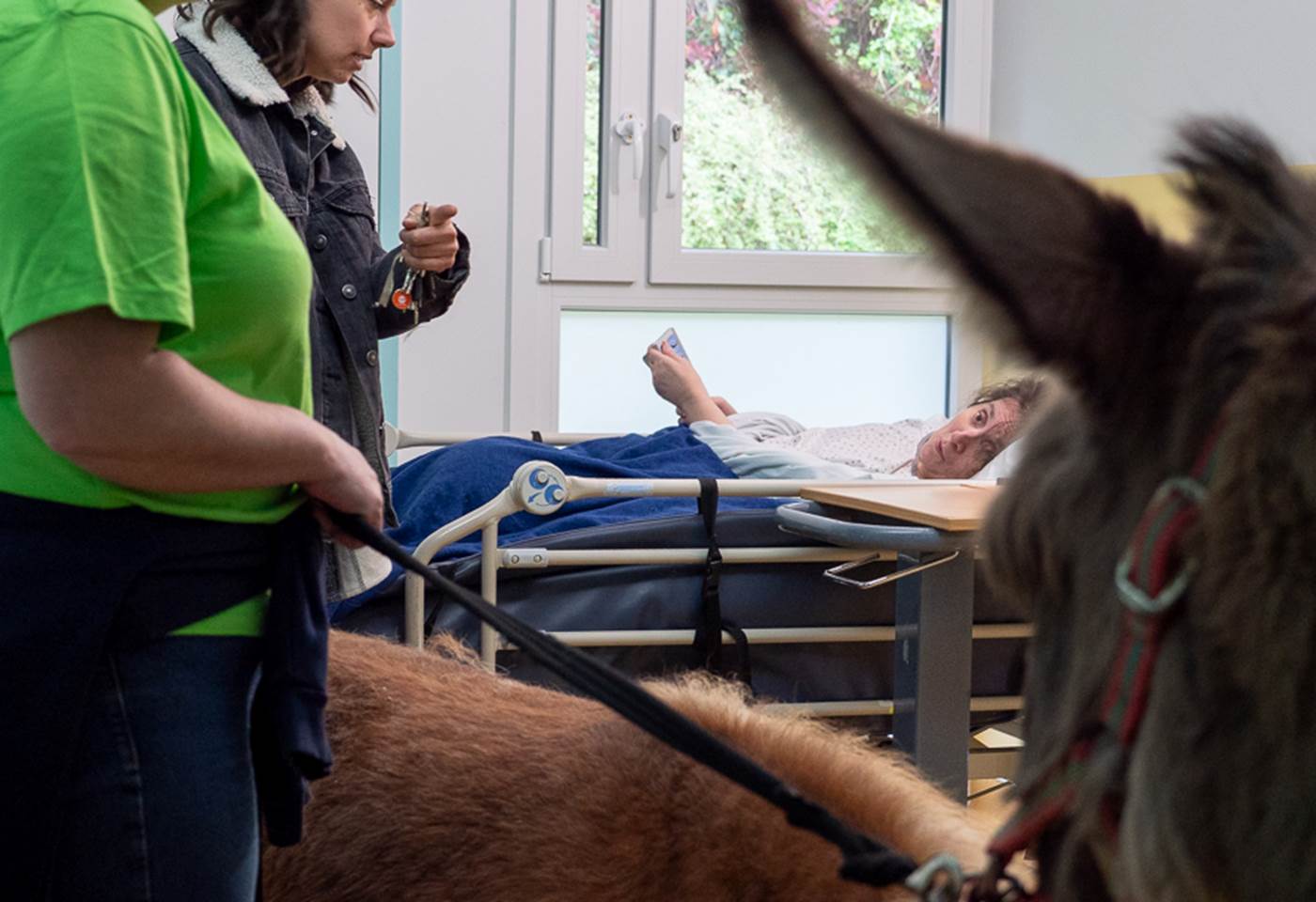 494186715_1309681940965655_3720739550694106912_n