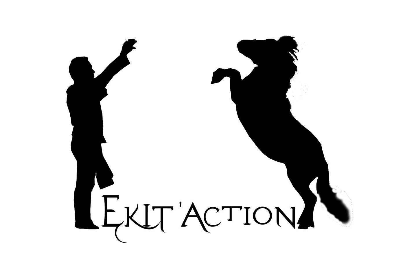 1523532_1576261509265930_8789356190240146937_o - Copie