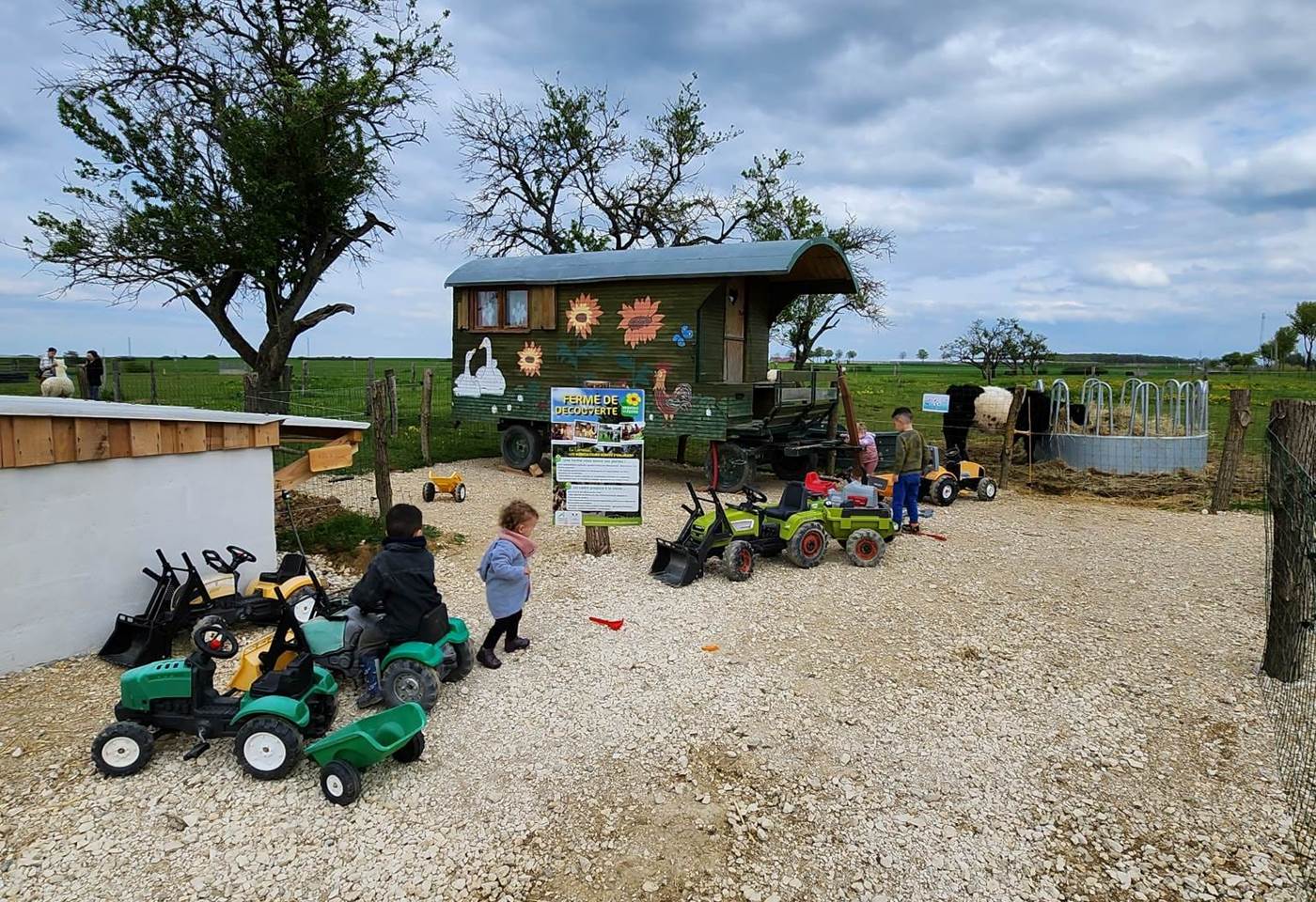 345910202_941052807040616_2895436689674910047_n