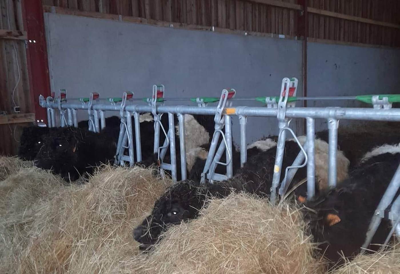 437387566_932492612212602_4251250065018081027_n