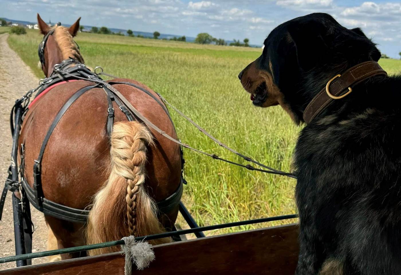 448183540_974223394706190_8237096183607195374_n