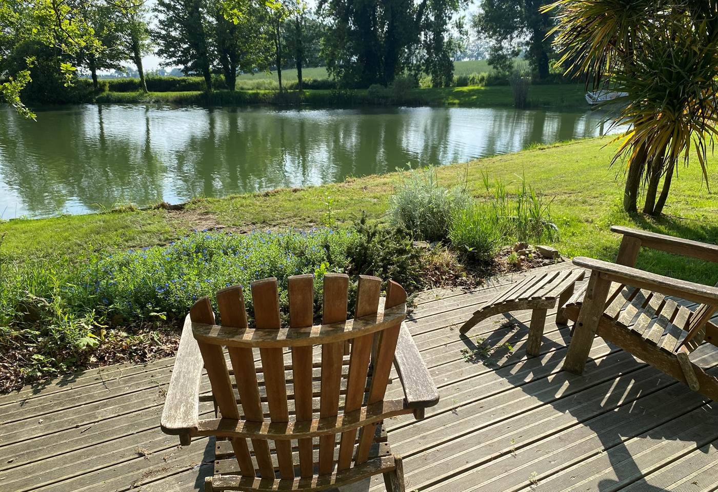 Vue imprenable sur l'étang