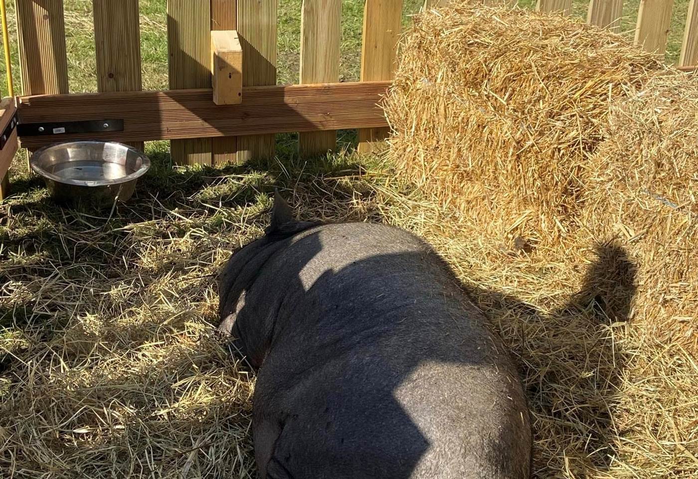 462293357_1056894509772411_1270173170776133723_n