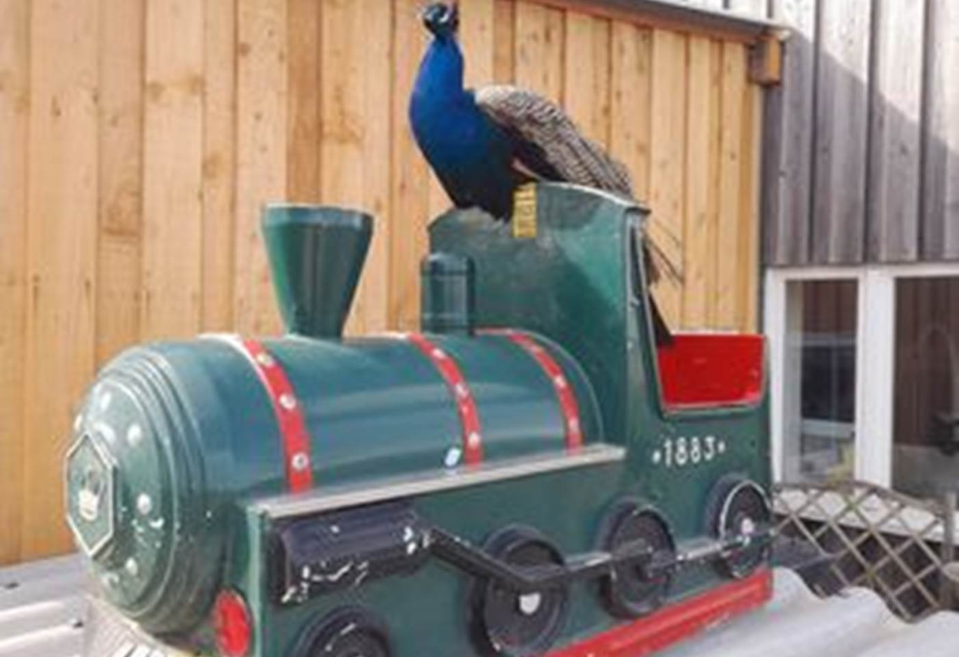 345853470_1956560494686028_2014913524177073347_n