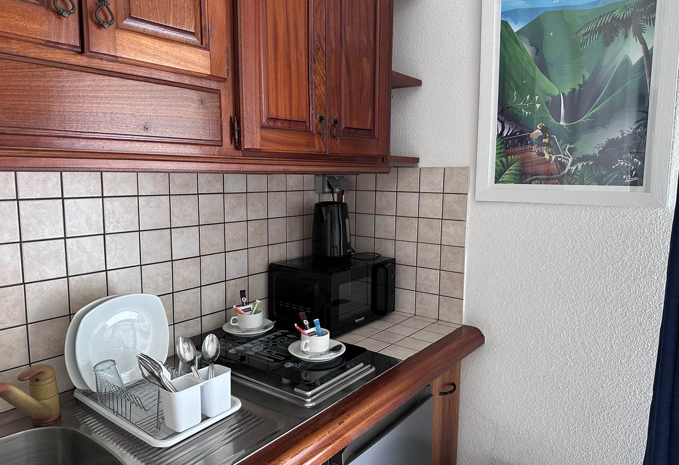 plateau de courtoisie, bouilloire cafés et thés, micro-ondes, frigo.