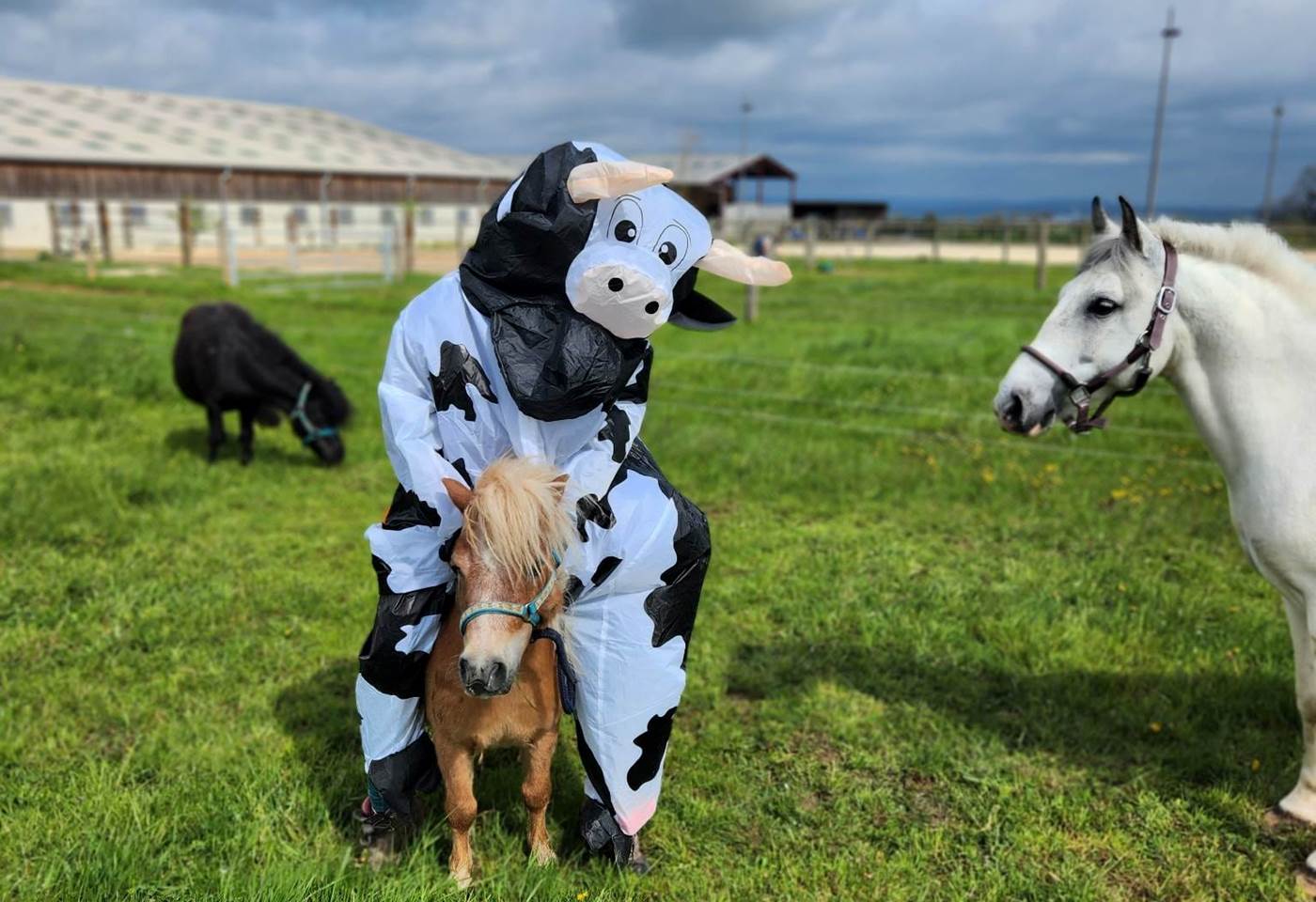 368631204_771337584994773_7601834708769389042_n