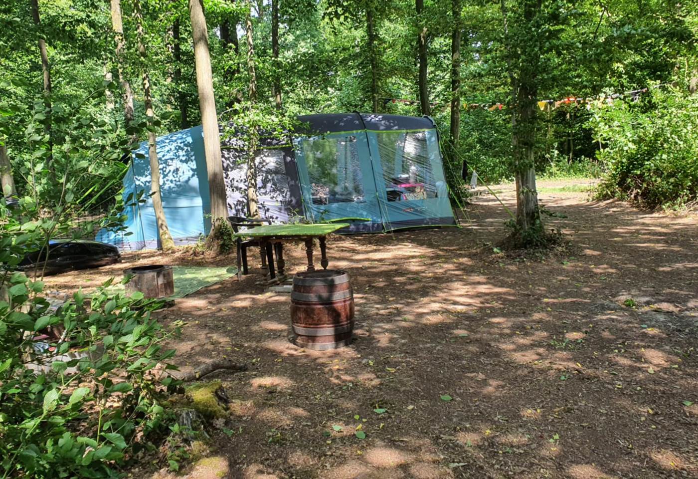 ee70861e-4f25-4b89-871e-e488174b47c1