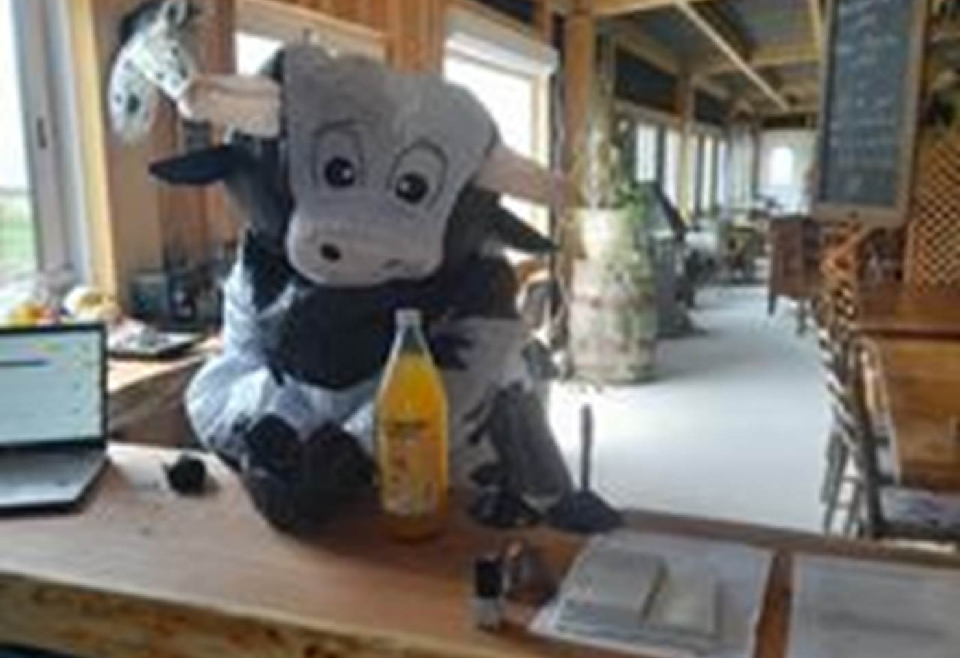 422886265_879118344216696_4243679143033752860_n