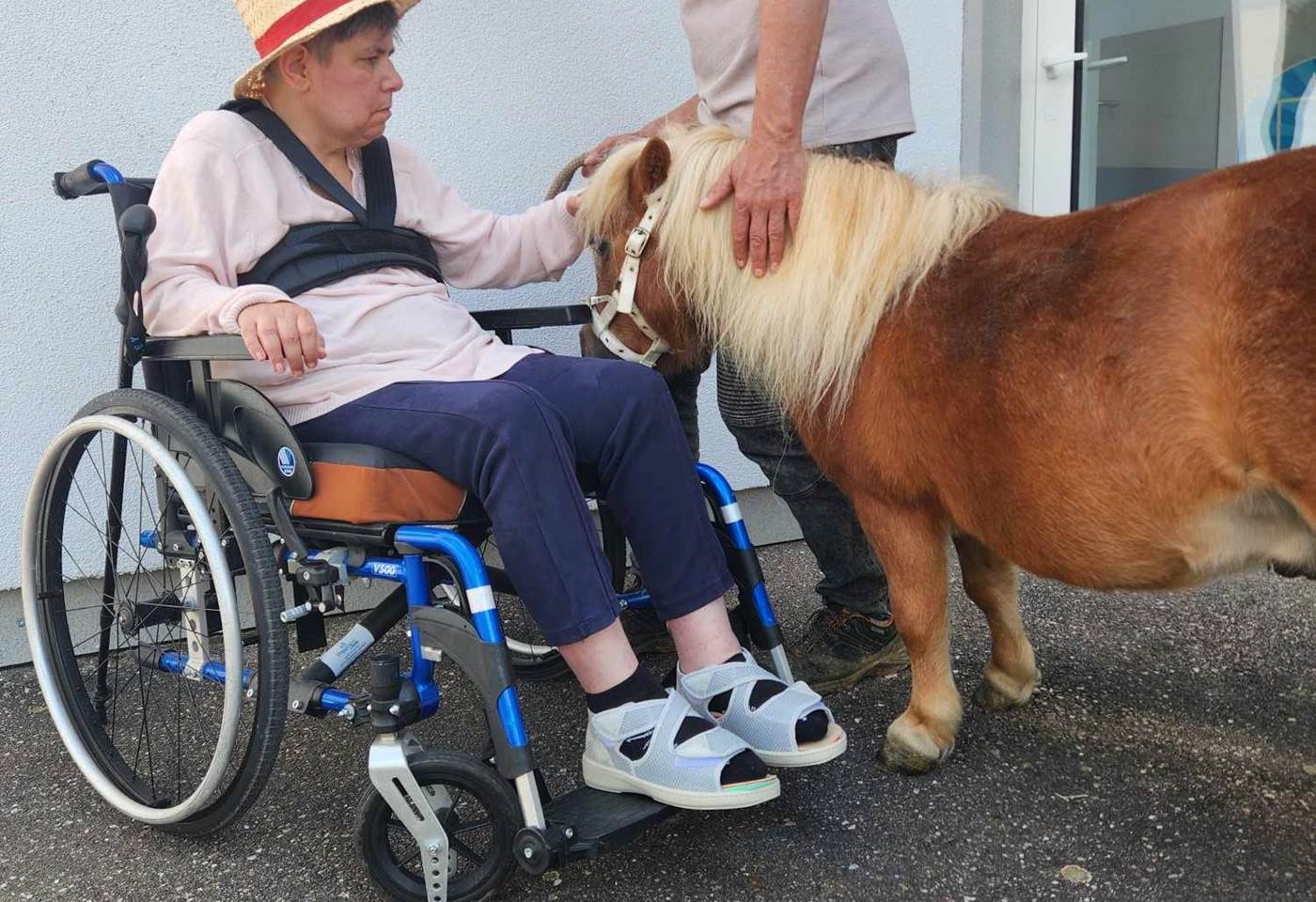 442480564_959807879481075_6492253316190364045_n