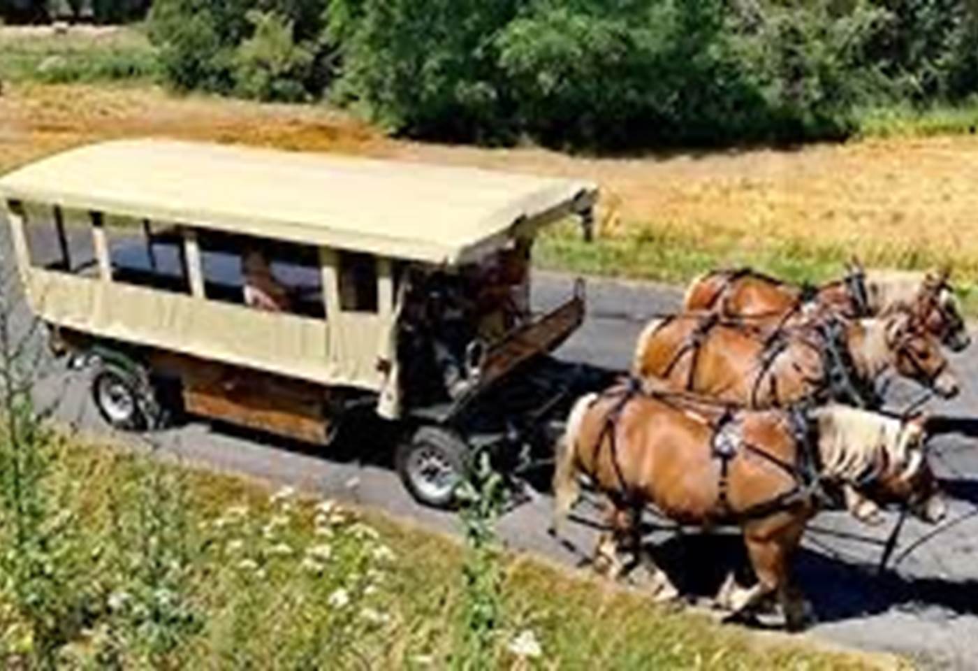 E959D8FC-1A7F-46BD-8A7D-01A144C8129D_4_5005_c