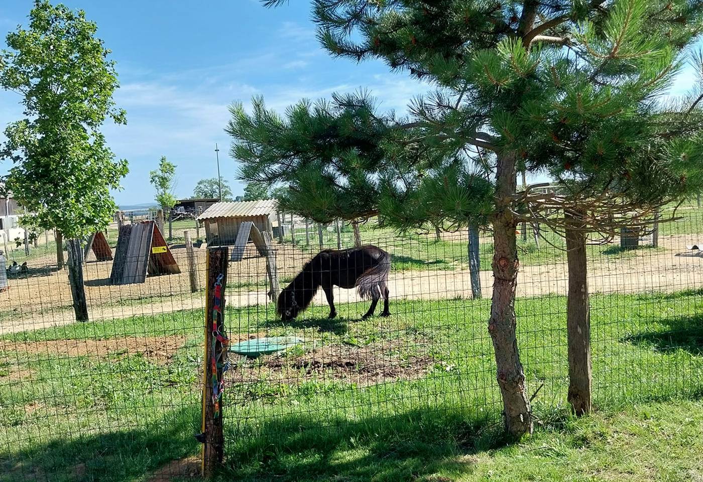 449836160_990276193100910_6820999635453887145_n