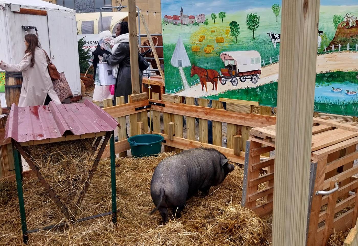 494005548_1221508806644313_2158855615413617387_n