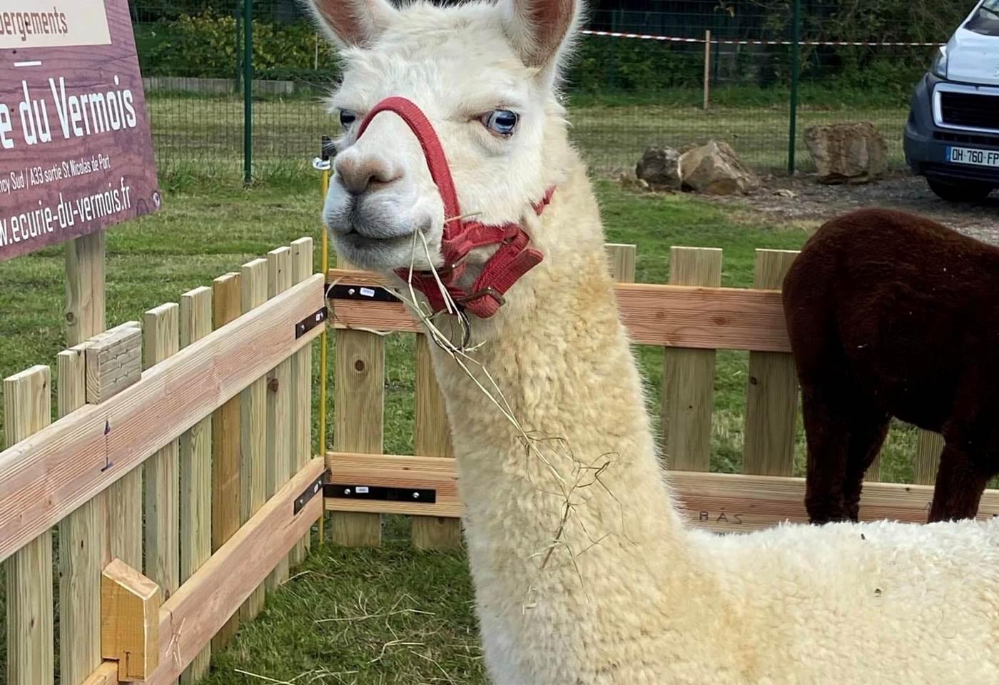 462114453_1056894623105733_2400856582159513042_n