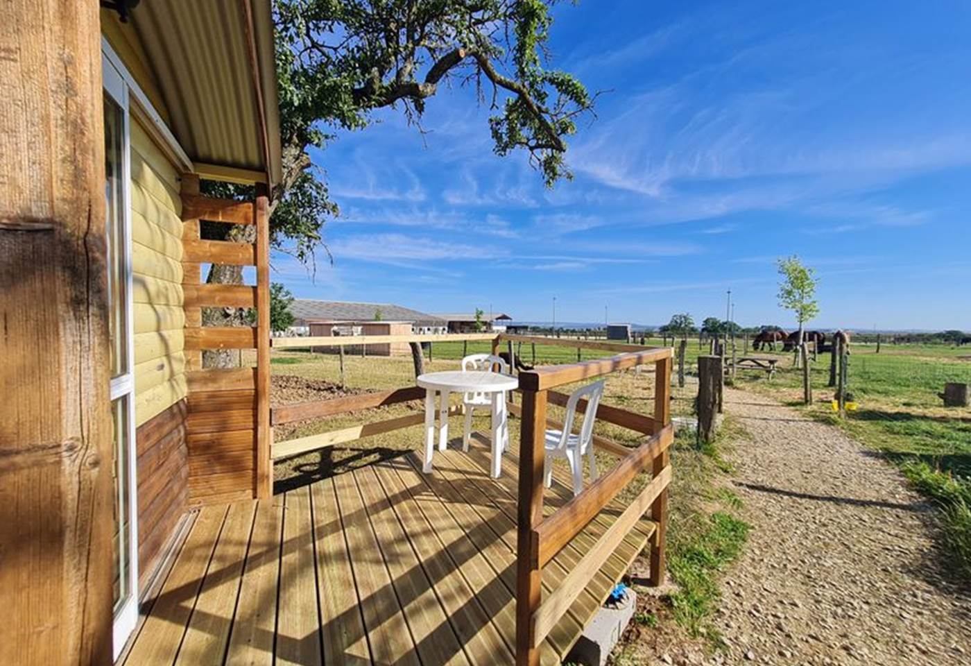 H54G027394_668c12da235fc