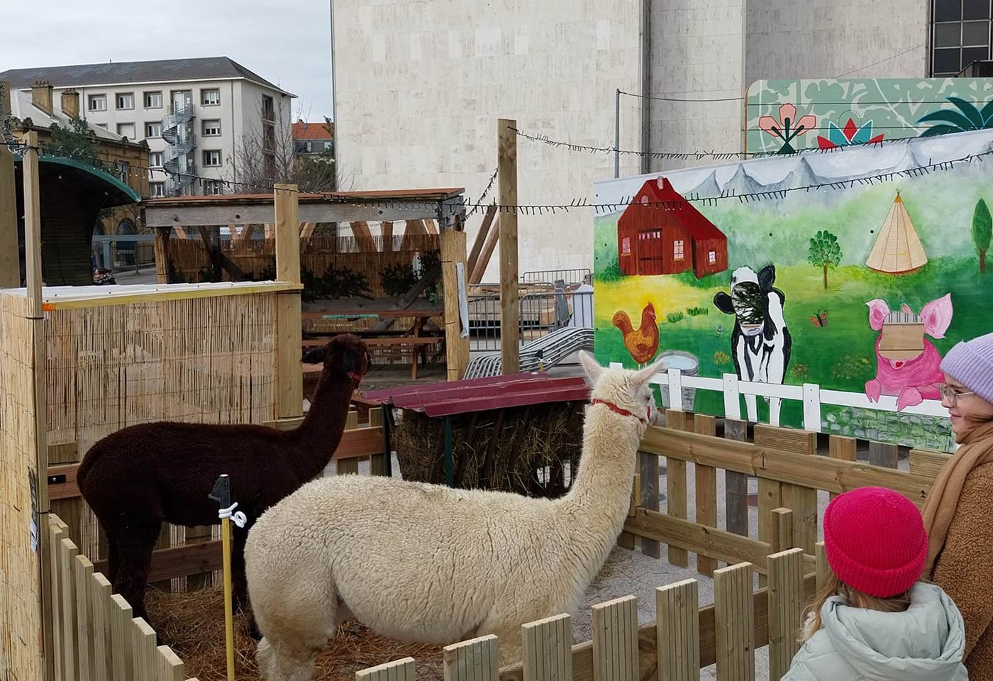 493289900_1221314329997094_2826066829515578146_n