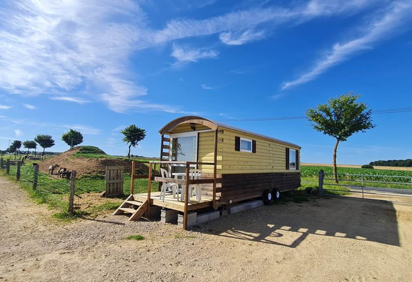 H54G027393_668c0ee68b1f1