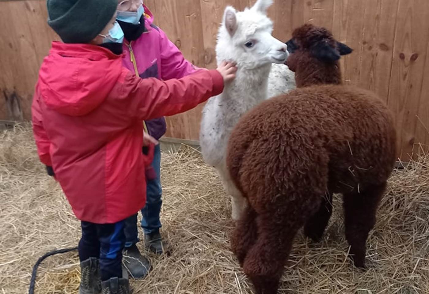 270532387_1389099394838982_6693442355653540779_n