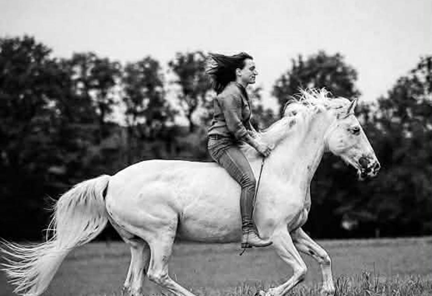 8d0bcba6-39e7-4735-ac79-00fd4cfbf62d