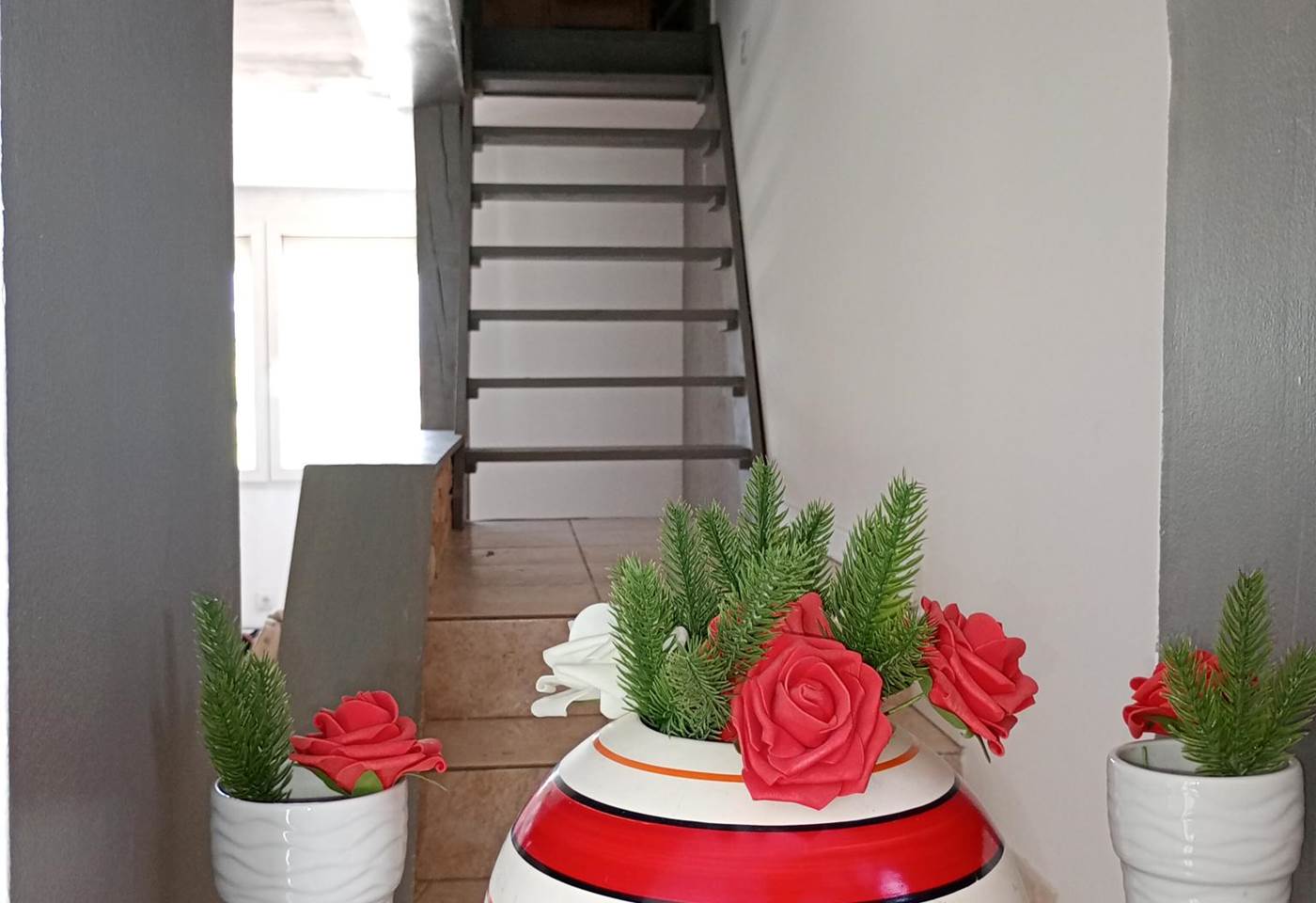 IMG_20250601_134836522_MFNR