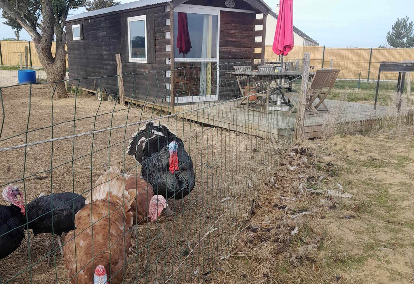 386879440_833288228264604_7745092298320213436_n