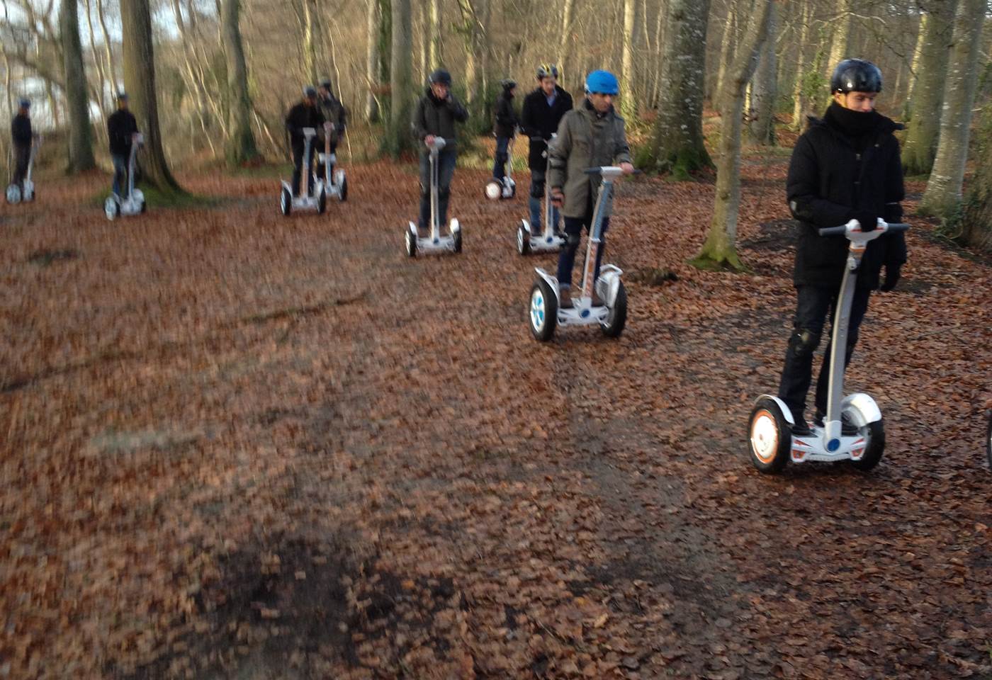 A travers les sous bois sur les berges de l'étang de Bazouges . 12/2017