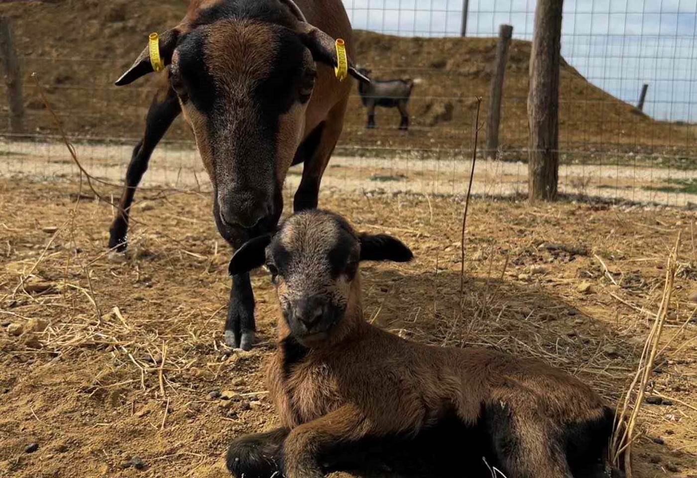 360101986_746553410806524_5132738818813986437_n