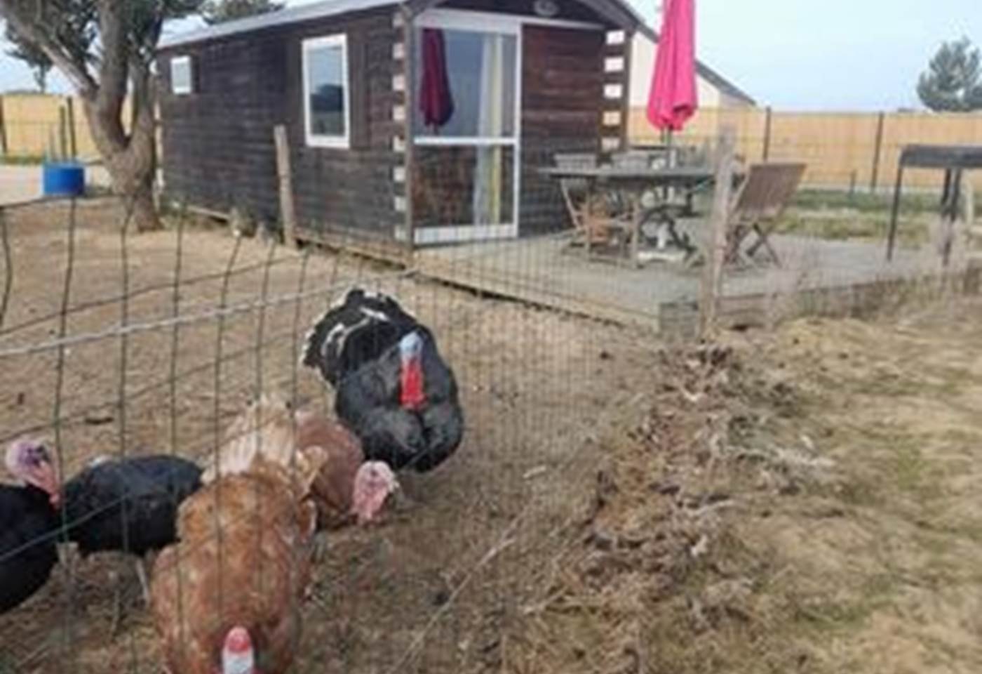 423538464_879118110883386_188960723034684729_n