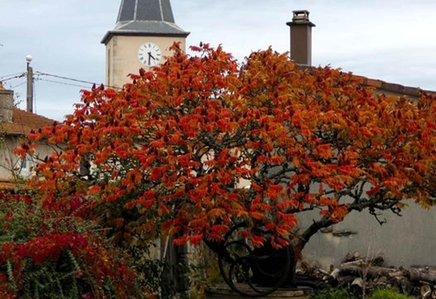 462365046_2573622219493520_232372742330358691_n