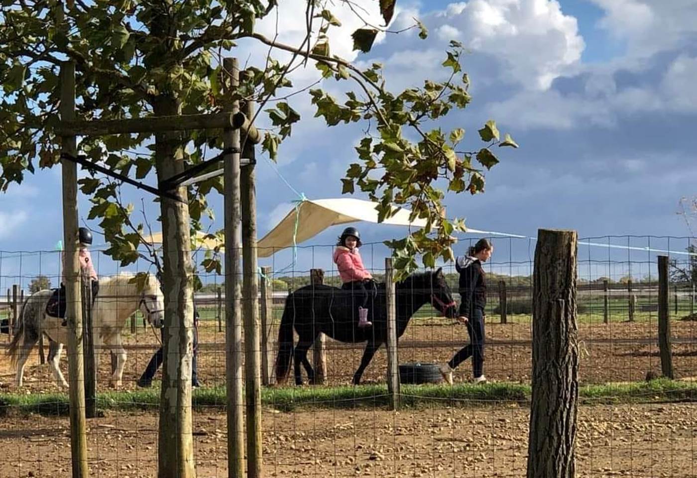 437374688_932492585545938_5960077575965809852_n