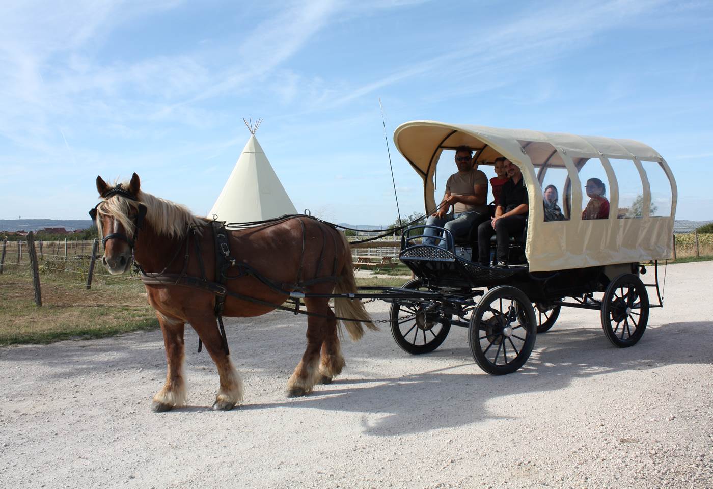 Grande calèche bâchée