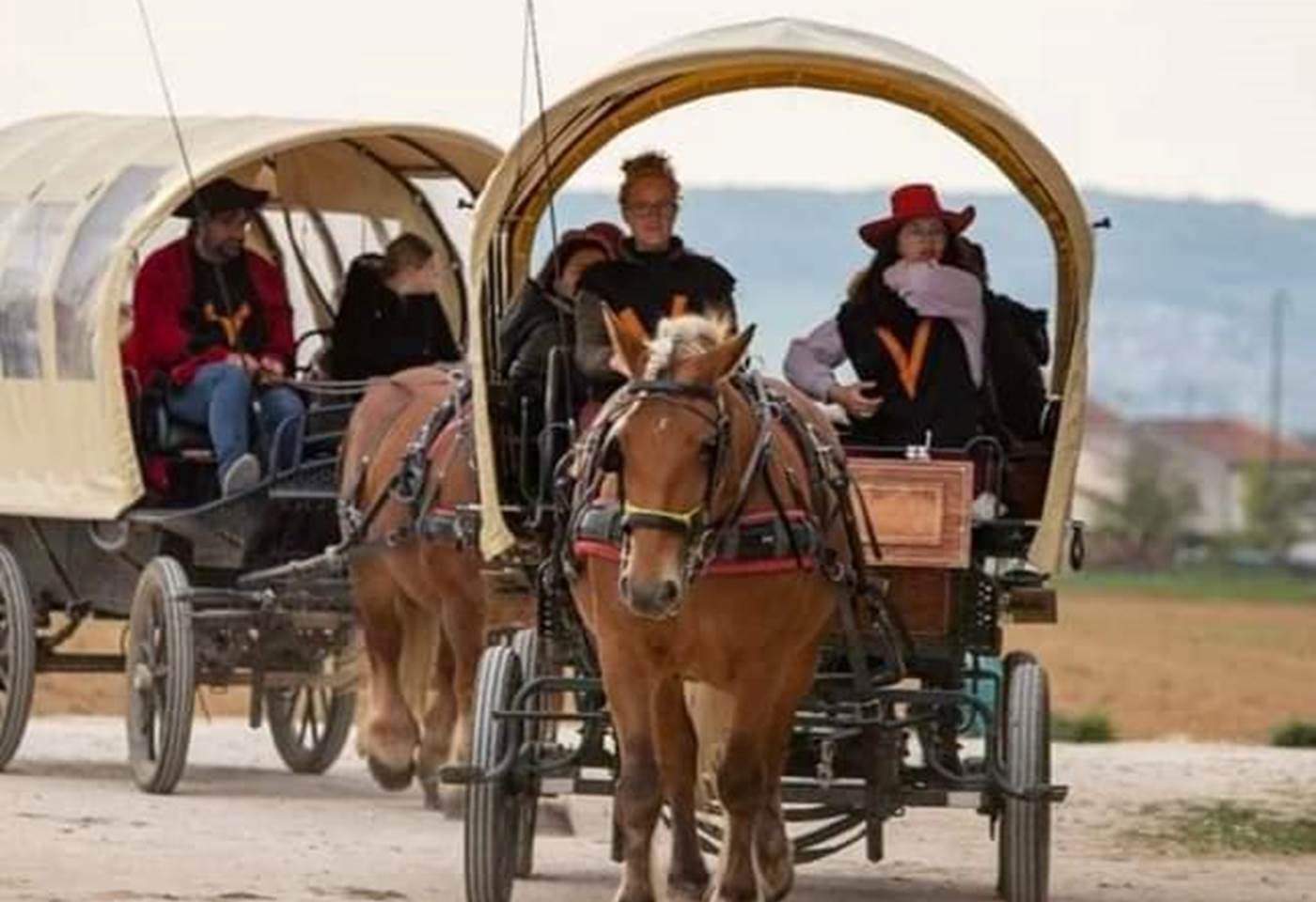 321494065_3532516006984374_312490357100663343_n