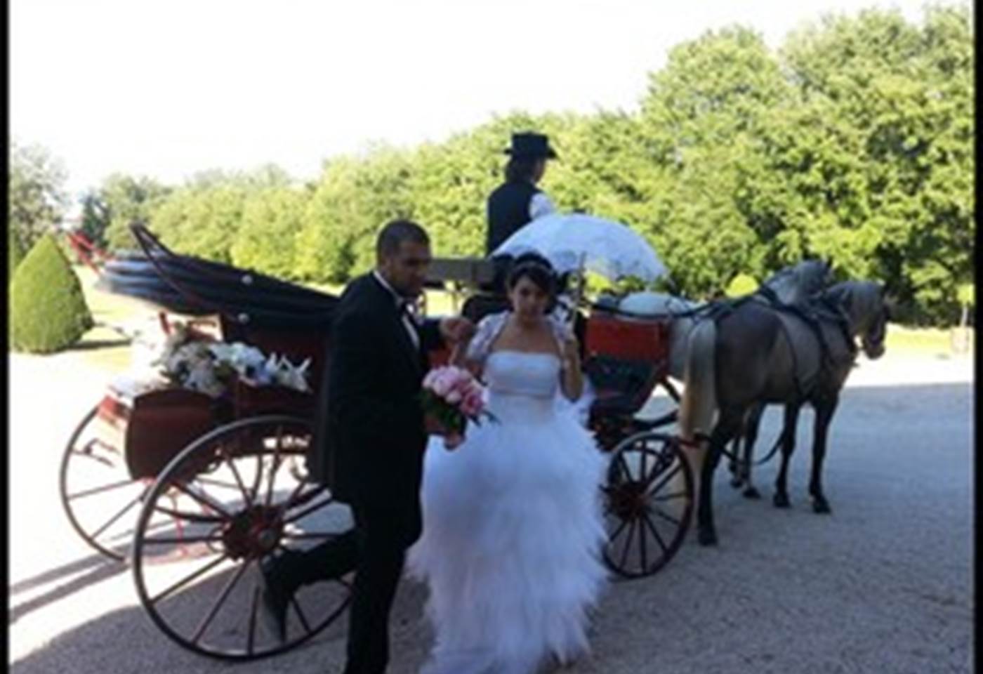 Mariage en calèche Les attelages BLANC (7)
