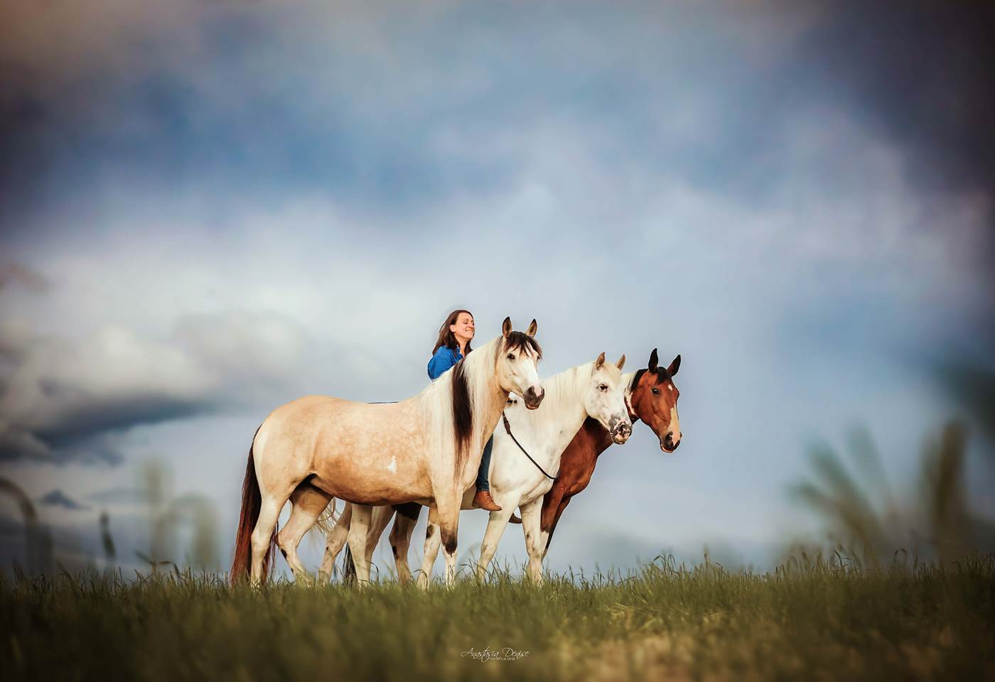 32513ce8-2cb7-4323-bbf5-f944921c3782 (1)