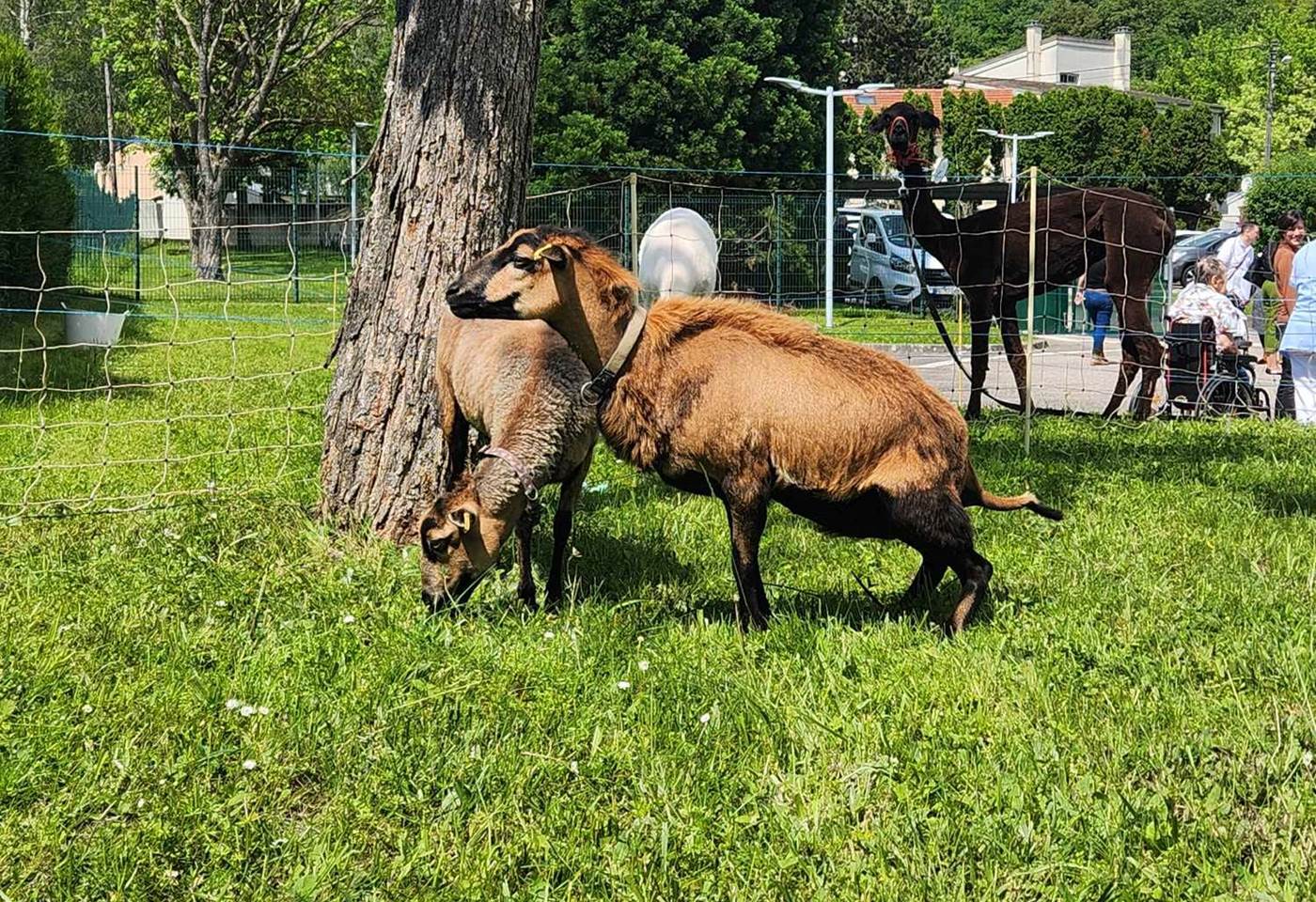 444203983_959807862814410_2410772344102747308_n