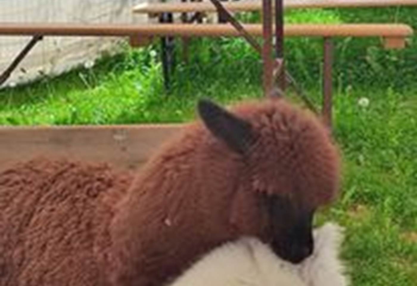 281740683_3283329045215901_2217780132767821519_n