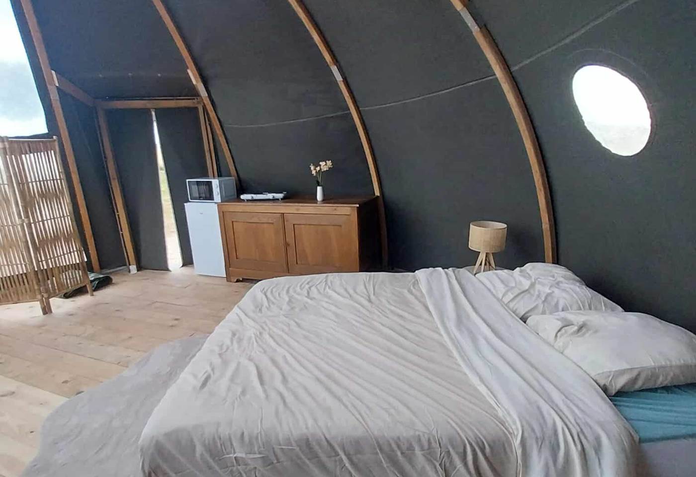 540999059_3359335770865223_4525221908062783877_n