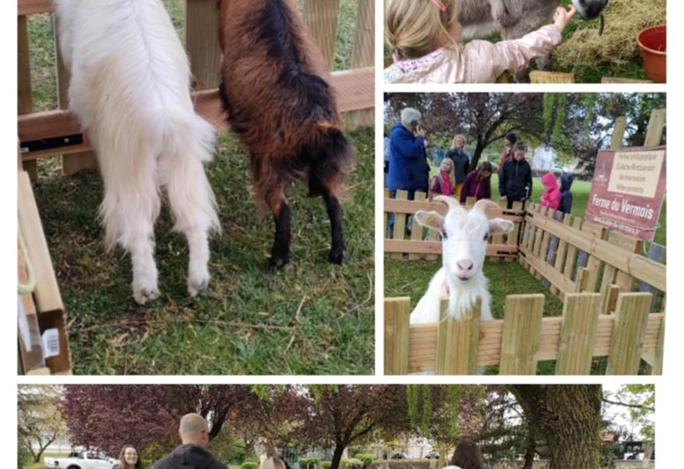 491285921_1214535640674963_3386187404968072435_n