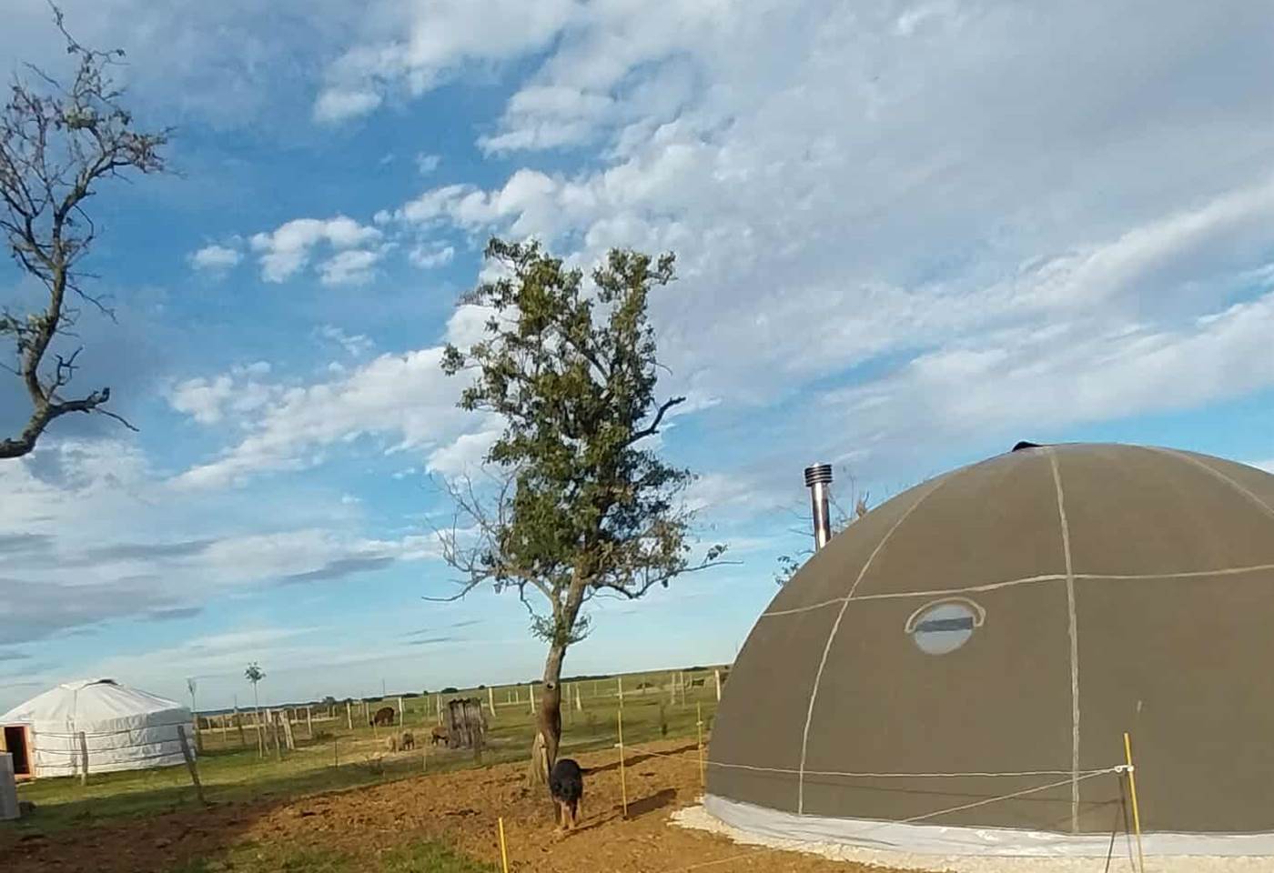 541240571_2880732058778759_2442147194154694247_n