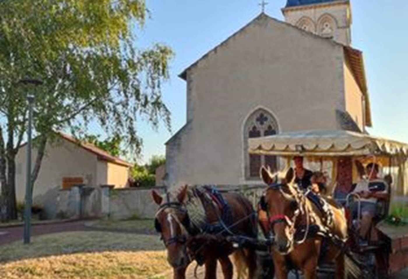 340763391_238890015293157_8353351419648295202_n