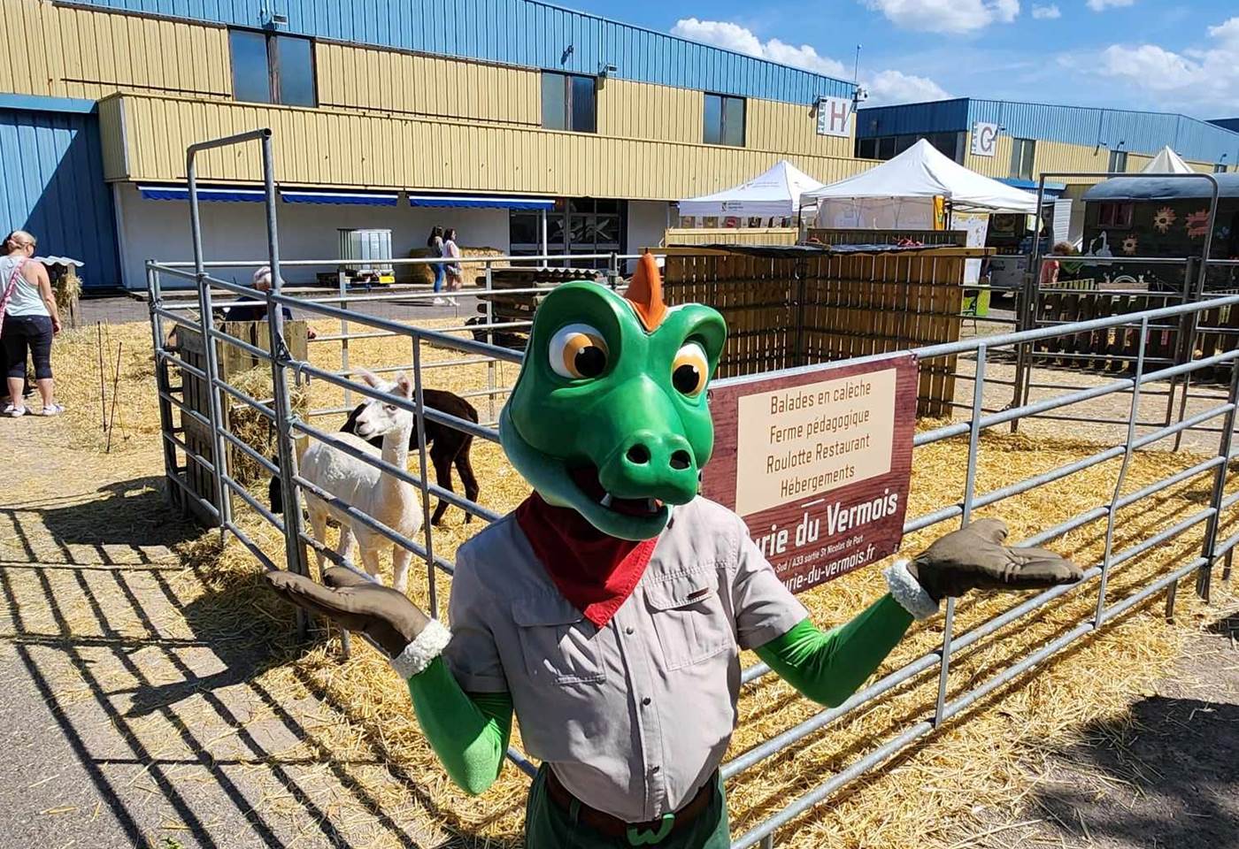 445379854_968889721906224_2760155979853798889_n