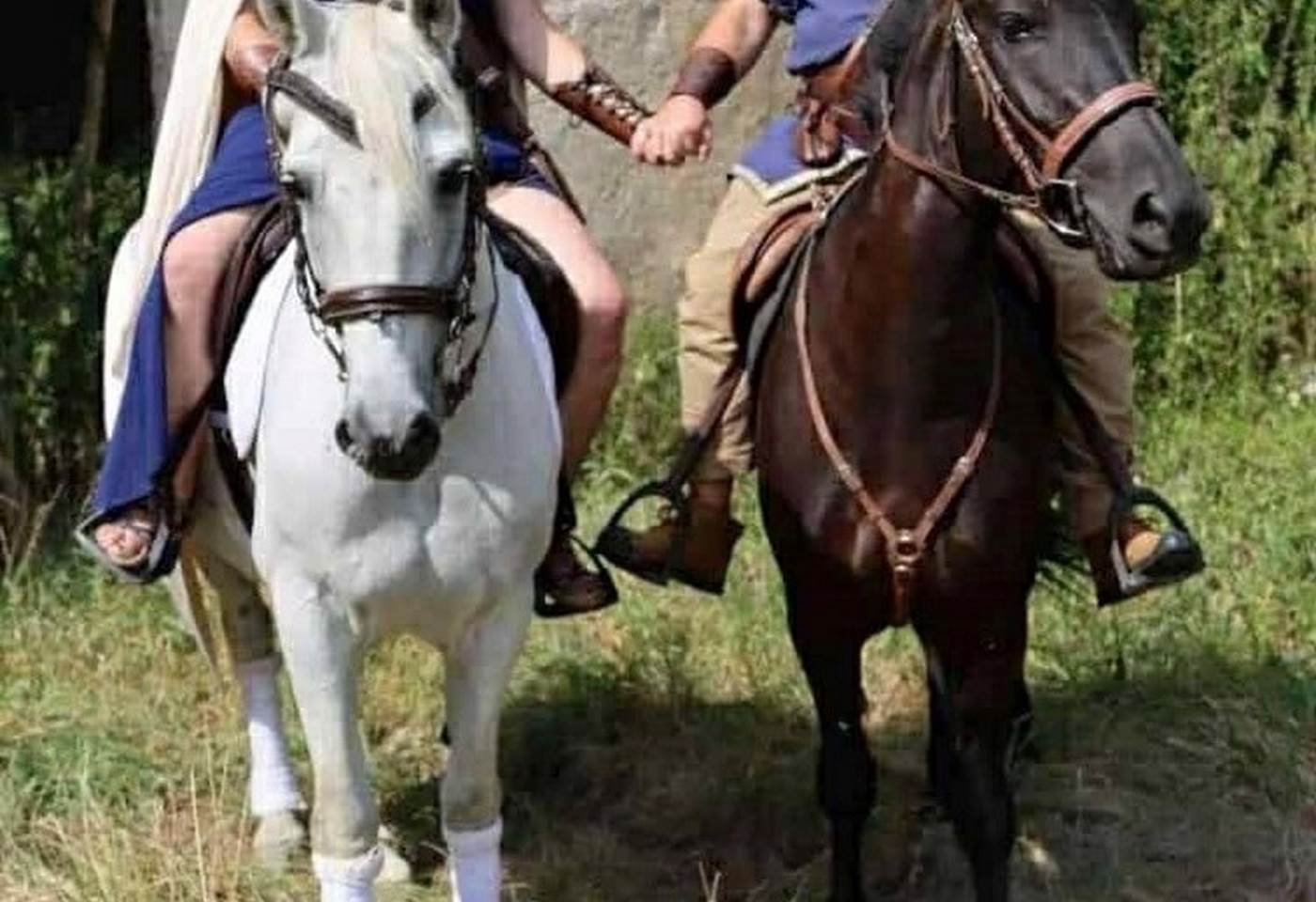 536278271_1315350193926840_645311356442383526_n