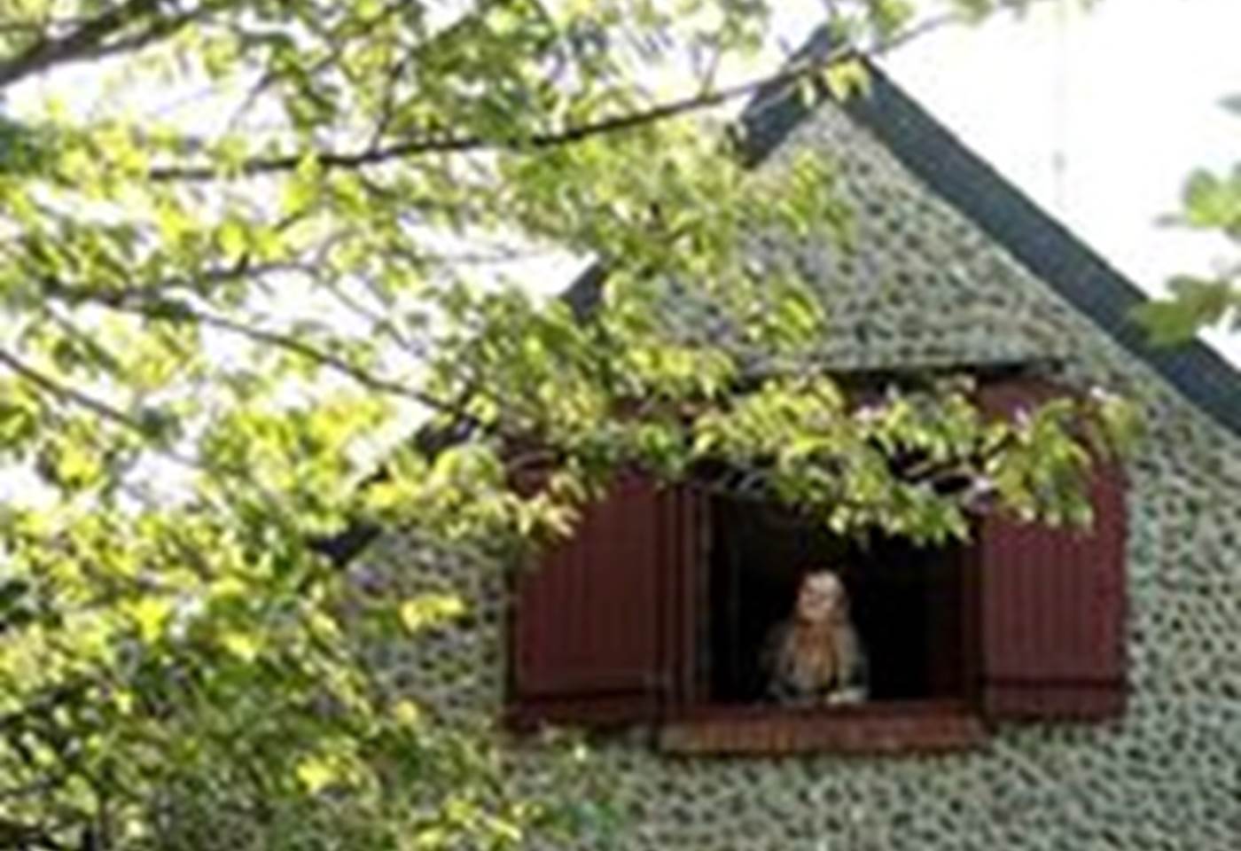 923100_601901076488217_561218164_n