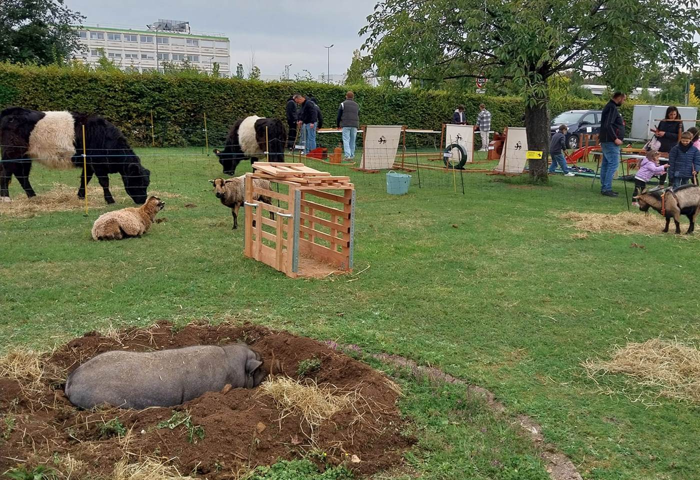 461577936_1051343580327504_1388374780945286274_n