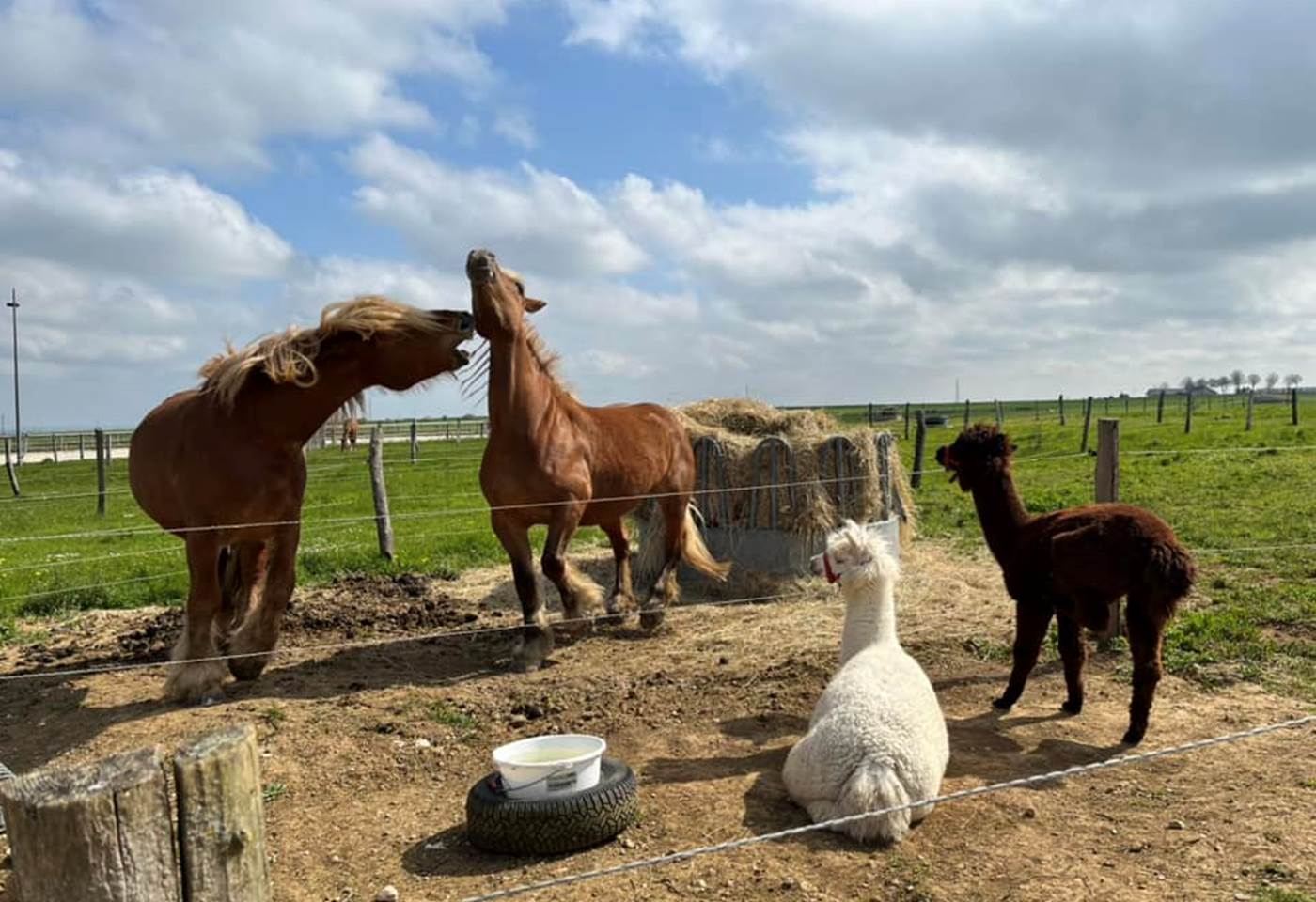 342204237_116218524757425_640221657238702242_n