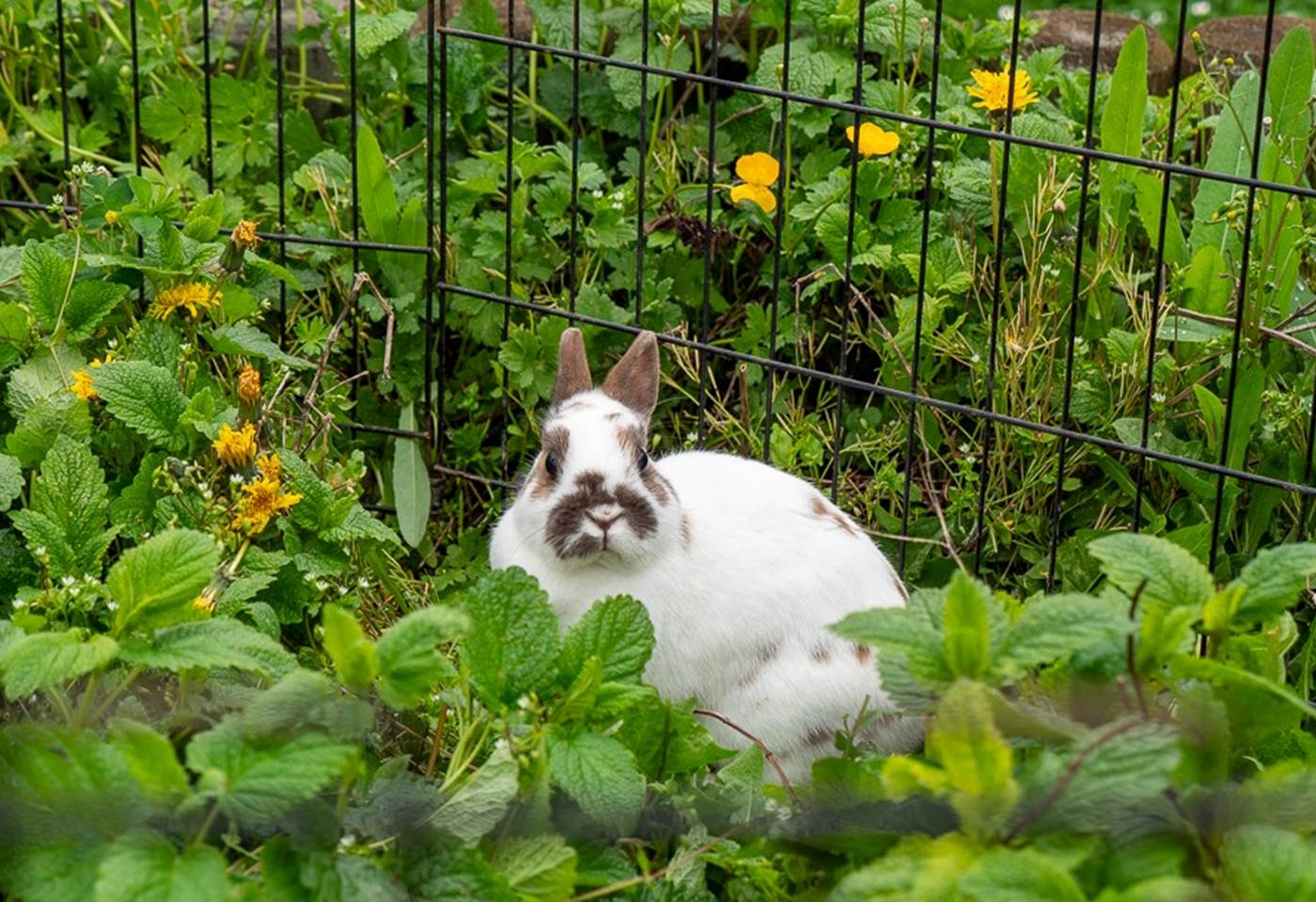 493937004_1309681977632318_9104685575903437447_n