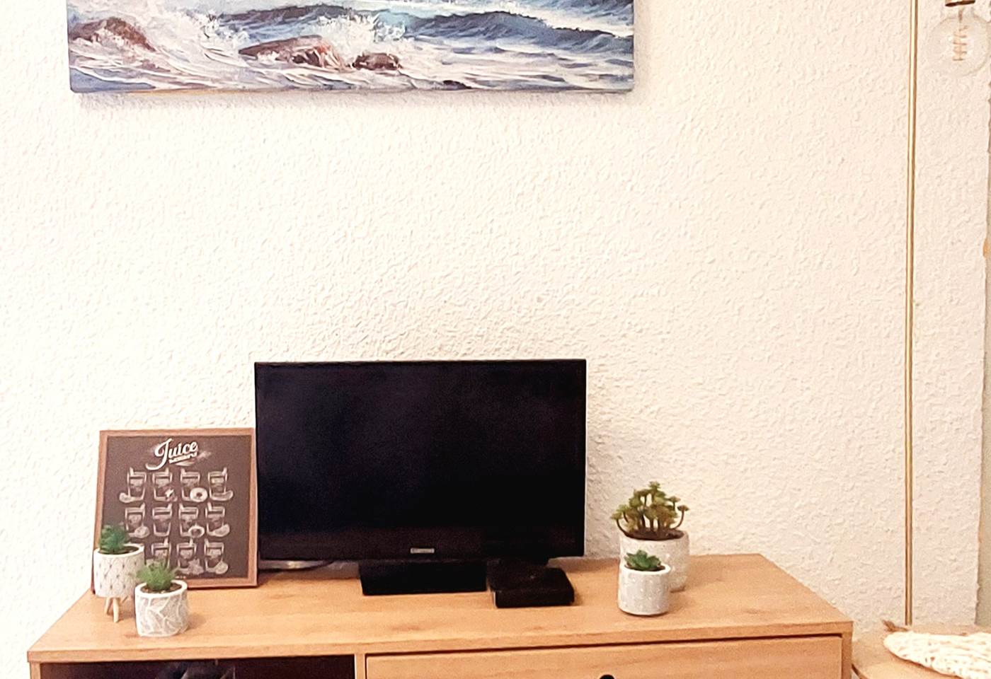 Salon avec télé écran plat Wifi bouquets télé